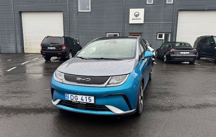 Byd Dolphin Design 